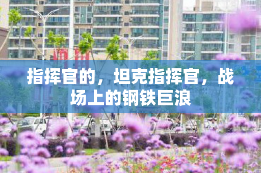 指挥官的，坦克指挥官，战场上的钢铁巨浪