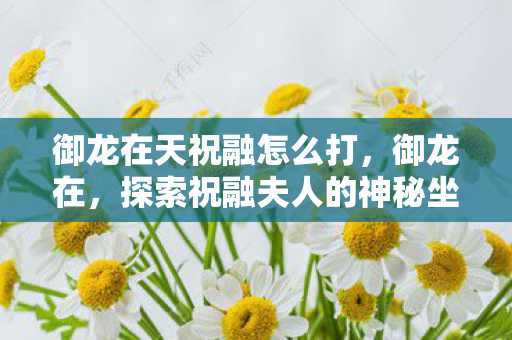 御龙在天祝融怎么打，御龙在，探索祝融夫人的神秘坐标