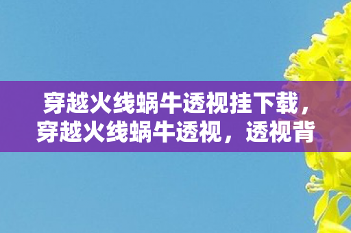 穿越火线蜗牛透视挂下载，穿越火线蜗牛透视，透视背后的真相与反思
