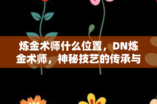 炼金术师什么位置，DN炼金术师，神秘技艺的传承与探索