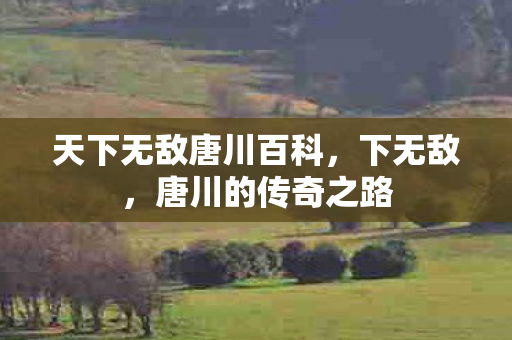 天下无敌唐川百科，下无敌，唐川的传奇之路