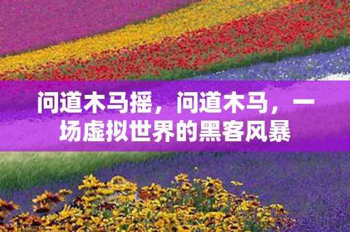 问道木马摇，问道木马，一场虚拟世界的黑客风暴