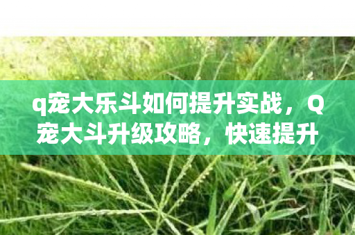 q宠大乐斗如何提升实战，Q宠大斗升级攻略，快速提升等级的方法