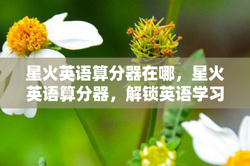 星火英语算分器在哪，星火英语算分器，解锁英语学习新境界