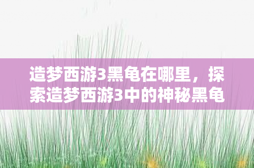 造梦西游3黑龟在哪里，探索造梦西游3中的神秘黑龟，隐藏关卡与寻找攻略