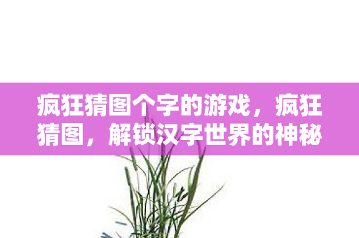 疯狂猜图个字的游戏，疯狂猜图，解锁汉字世界的神秘密码