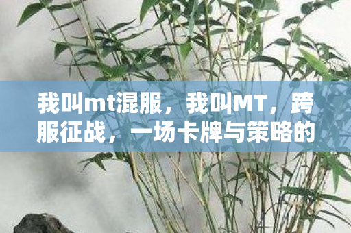 我叫mt混服，我叫MT，跨服征战，一场卡牌与策略的盛宴