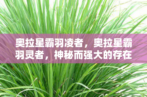 奥拉星霸羽凌者，奥拉星霸羽灵者，神秘而强大的存在