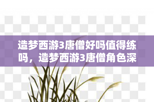 造梦西游3唐僧好吗值得练吗，造梦西游3唐僧角色深度解析，强大与脆弱并存的水系法师