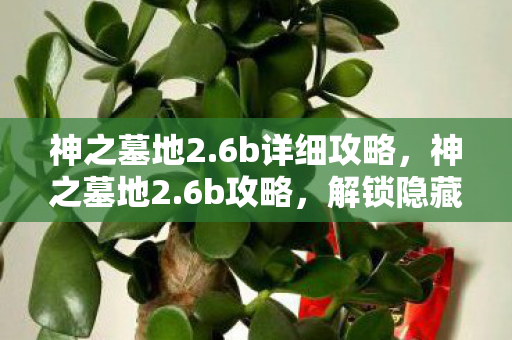 神之墓地2.6b详细攻略，神之墓地2.6b攻略，解锁隐藏关卡与角色，提升游戏乐趣