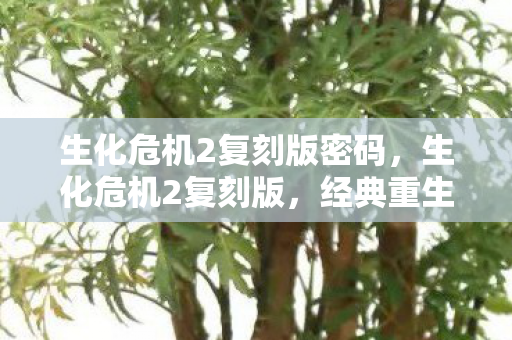 生化危机2复刻版密码，生化危机2复刻版，经典重生的恐怖之旅