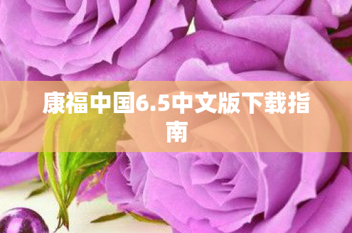 康福中国6.5中文版下载指南 康福中国6.5中文版下载指南