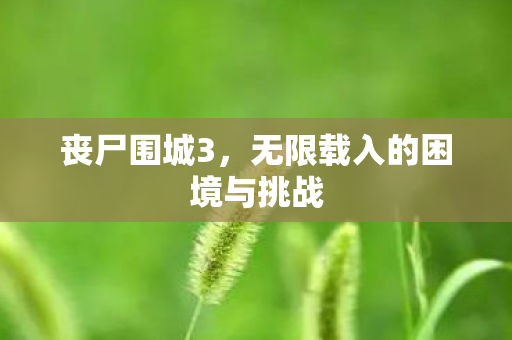 丧尸围城3，无限载入的困境与挑战