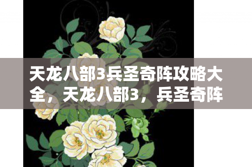 天龙八部3兵圣奇阵攻略大全，天龙八部3，兵圣奇阵攻略详解