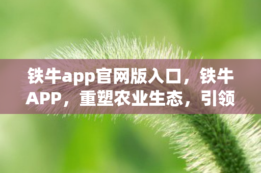 铁牛app官网版入口,铁牛APP,重塑农业生态,引领智慧农业新风尚 铁牛app官网版入口,铁牛APP,重塑农业生态,引领智慧农业新风尚