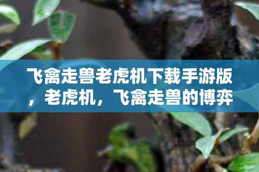 飞禽走兽老虎机下载手游版,老虎机,飞禽走兽的博弈与回忆 飞禽走兽老虎机下载手游版,老虎机,飞禽走兽的博弈与回忆