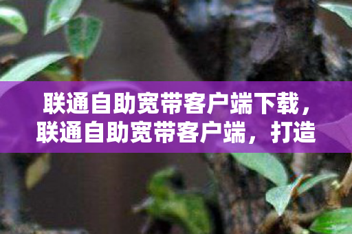 联通自助宽带客户端下载,联通自助宽带客户端,打造便捷高效的家庭网络体验 联通自助宽带客户端下载,联通自助宽带客户端,打造便捷高效的家庭网络体验