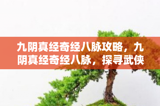 九阴真经奇经八脉攻略,九阴真经奇经八脉,探寻武侠世界的奥秘 九阴真经奇经八脉攻略,九阴真经奇经八脉,探寻武侠世界的奥秘