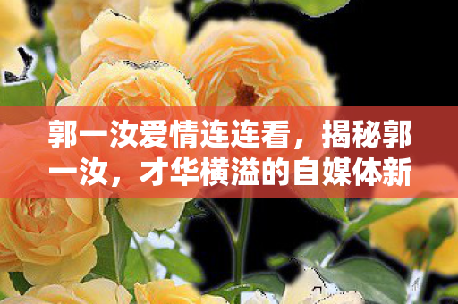 郭一汝爱情连连看，揭秘郭一汝，才华横溢的自媒体新星