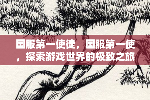 国服第一使徒，国服第一使，探索游戏世界的极致之旅