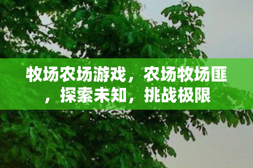 牧场农场游戏，农场牧场匪，探索未知，挑战极限