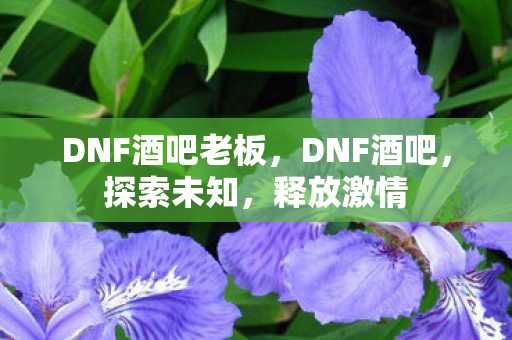 DNF酒吧老板,DNF酒吧,探索未知,释放激情 DNF酒吧老板,DNF酒吧,探索未知,释放激情