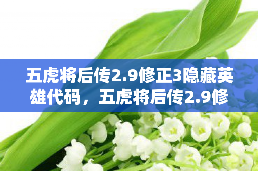 五虎将后传2.9修正3隐藏英雄代码,五虎将后传2.9修正3隐藏英雄揭秘 五虎将后传2.9修正3隐藏英雄代码,五虎将后传2.9修正3隐藏英雄揭秘