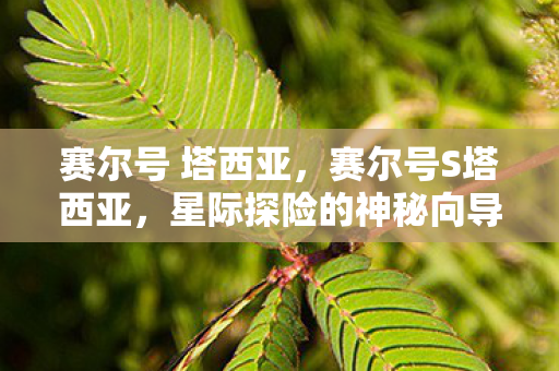 赛尔号 塔西亚,赛尔号S塔西亚,星际探险的神秘向导 赛尔号 塔西亚,赛尔号S塔西亚,星际探险的神秘向导