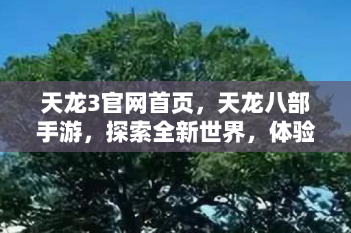天龙3官网首页，天龙八部手游，探索全新世界，体验前所未有的冒险之旅