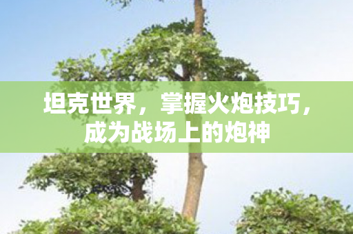 坦克世界,掌握火炮技巧,成为战场上的炮神 坦克世界,掌握火炮技巧,成为战场上的炮神