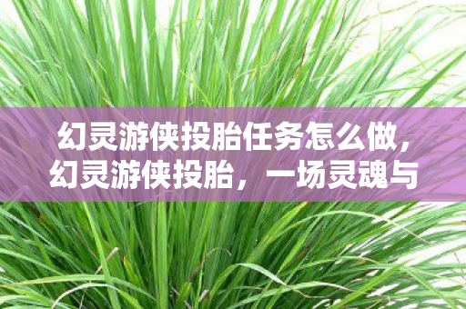 幻灵游侠投胎任务怎么做,幻灵游侠投胎,一场灵魂与命运的奇妙旅程 幻灵游侠投胎任务怎么做,幻灵游侠投胎,一场灵魂与命运的奇妙旅程