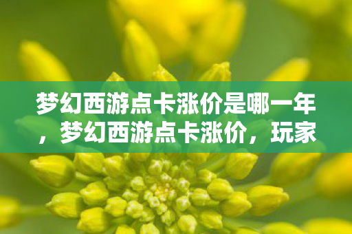 梦幻西游点卡涨价是哪一年,梦幻西游点卡涨价,玩家反应与游戏经济影响分析 梦幻西游点卡涨价是哪一年,梦幻西游点卡涨价,玩家反应与游戏经济影响分析