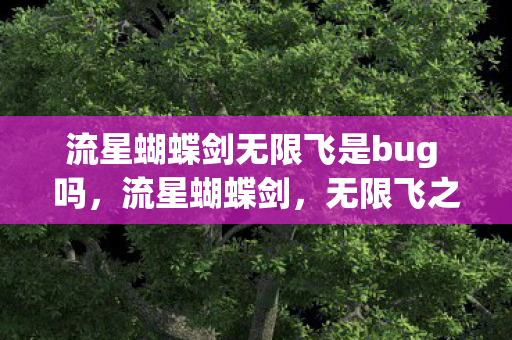 流星蝴蝶剑无限飞是bug 吗,流星蝴蝶剑,无限飞之秘 流星蝴蝶剑无限飞是bug 吗,流星蝴蝶剑,无限飞之秘