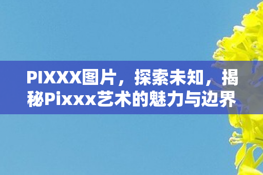 PIXXX图片,探索未知,揭秘Pixxx艺术的魅力与边界 PIXXX图片,探索未知,揭秘Pixxx艺术的魅力与边界