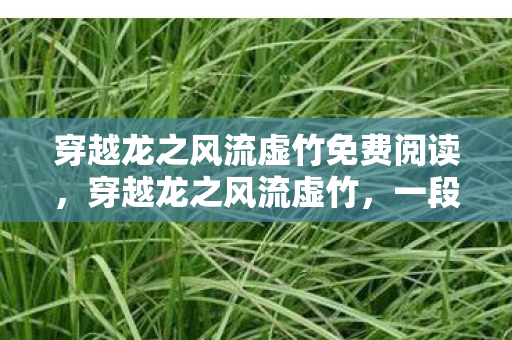 穿越龙之风流虚竹免费阅读,穿越龙之风流虚竹,一段传奇的武侠之旅 穿越龙之风流虚竹免费阅读,穿越龙之风流虚竹,一段传奇的武侠之旅