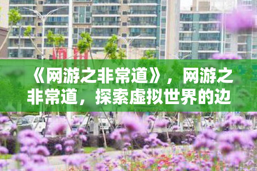 《网游之非常道》，网游之非常道，探索虚拟世界的边界与伦理