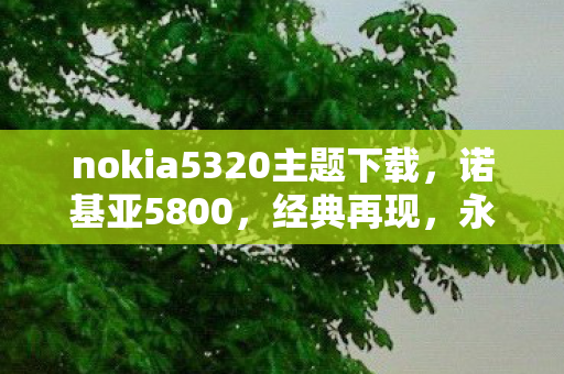 nokia5320主题下载，诺基亚5800，经典再现，永恒的主题