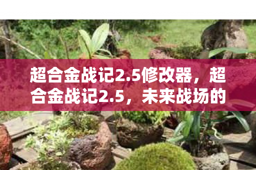超合金战记2.5修改器,超合金战记2.5,未来战场的终极对决 超合金战记2.5修改器,超合金战记2.5,未来战场的终极对决