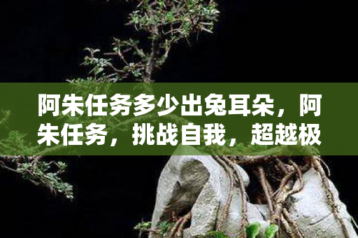 阿朱任务多少出兔耳朵，阿朱任务，挑战自我，超越极限