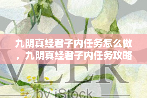 九阴真经君子内任务怎么做，九阴真经君子内任务攻略