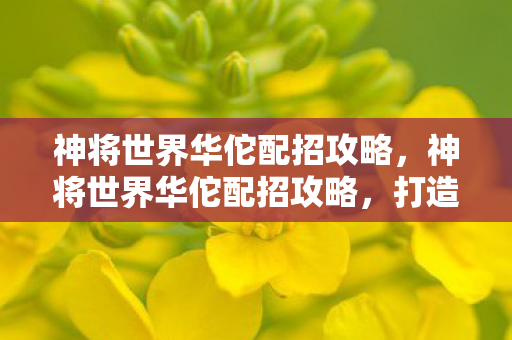 神将世界华佗配招攻略,神将世界华佗配招攻略,打造最强辅助神医 神将世界华佗配招攻略,神将世界华佗配招攻略,打造最强辅助神医