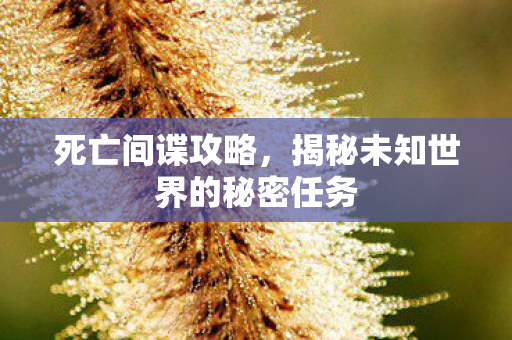 死亡间谍攻略，揭秘未知世界的秘密任务