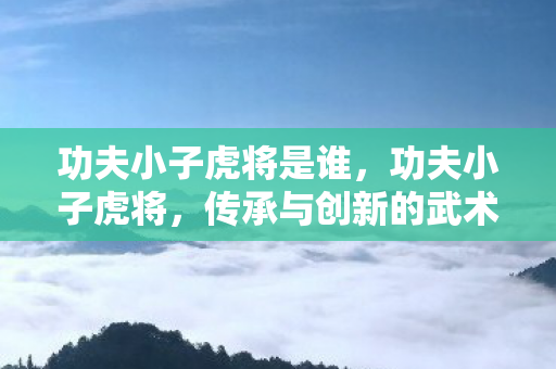 功夫小子虎将是谁，功夫小子虎将，传承与创新的武术精神