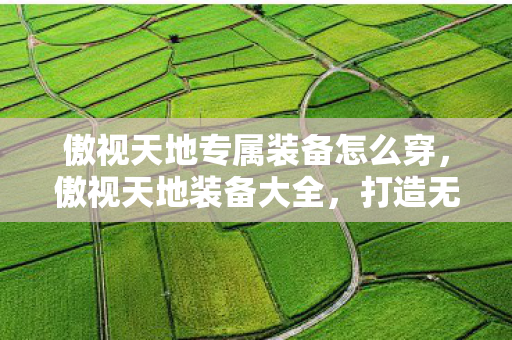 傲视天地专属装备怎么穿，傲视天地装备大全，打造无敌战力的秘密武器