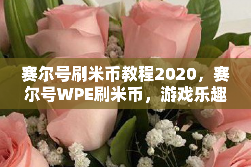 赛尔号刷米币教程2020,赛尔号WPE刷米币,游戏乐趣与规则的平衡 赛尔号刷米币教程2020,赛尔号WPE刷米币,游戏乐趣与规则的平衡