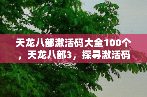 天龙八部激活码大全100个，天龙八部3，探寻激活码的奥秘