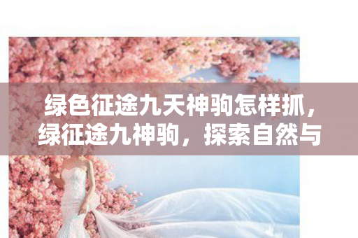 绿色征途九天神驹怎样抓，绿征途九神驹，探索自然与历史的奇妙之旅