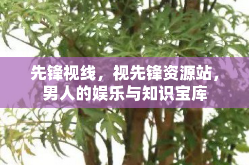 男人的娱乐与知识宝库图片