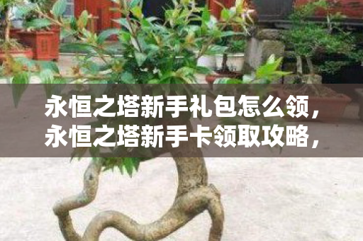 永恒之塔新手礼包怎么领图片