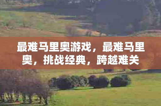 最难马里奥游戏图片